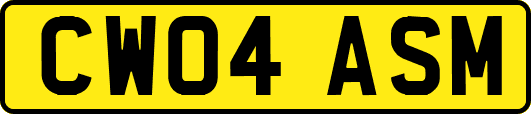 CW04ASM