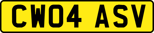 CW04ASV