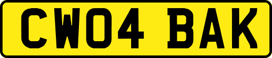 CW04BAK