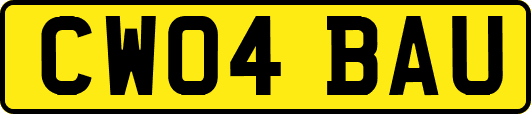 CW04BAU
