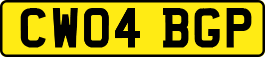 CW04BGP