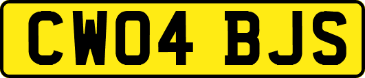CW04BJS