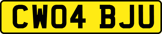 CW04BJU