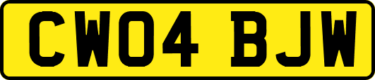 CW04BJW