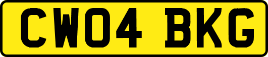 CW04BKG