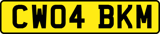 CW04BKM