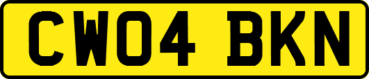 CW04BKN