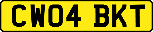CW04BKT