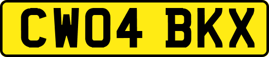 CW04BKX