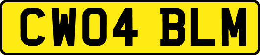 CW04BLM