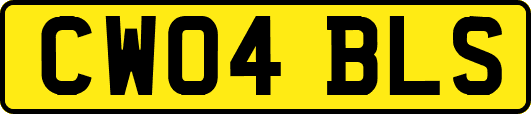 CW04BLS
