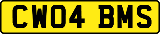 CW04BMS