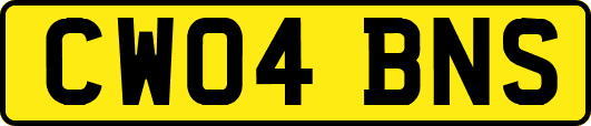 CW04BNS