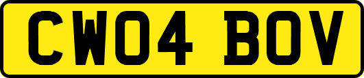 CW04BOV