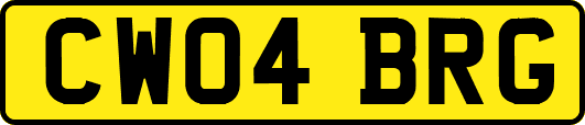 CW04BRG