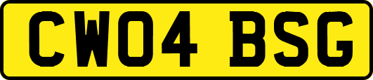 CW04BSG