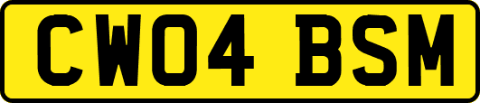 CW04BSM