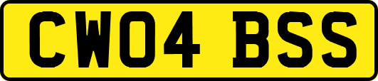 CW04BSS