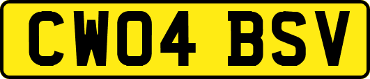 CW04BSV