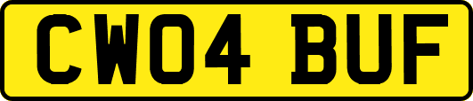 CW04BUF