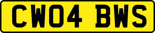 CW04BWS