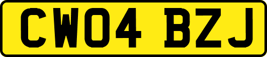 CW04BZJ