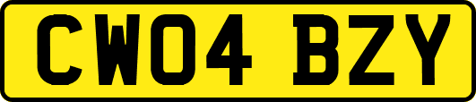 CW04BZY