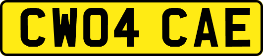 CW04CAE
