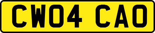 CW04CAO
