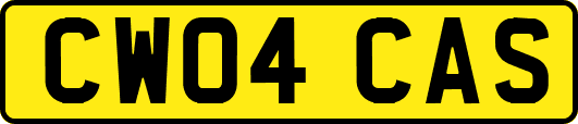 CW04CAS