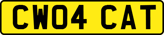 CW04CAT