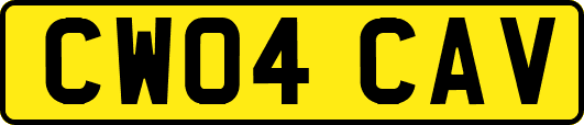 CW04CAV