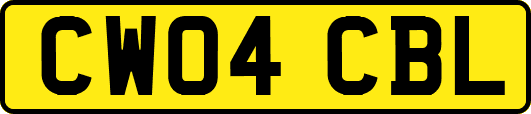 CW04CBL