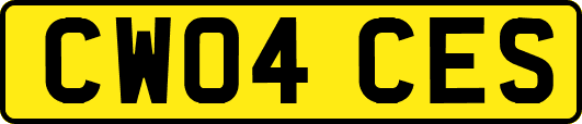 CW04CES