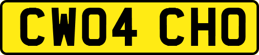 CW04CHO