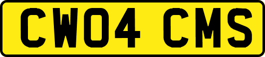 CW04CMS