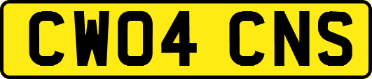 CW04CNS