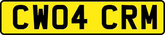 CW04CRM