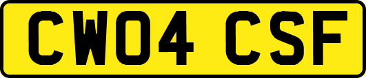 CW04CSF
