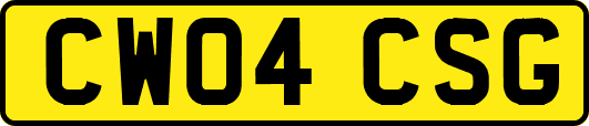 CW04CSG