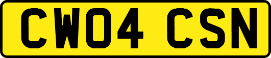 CW04CSN