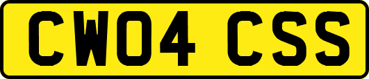 CW04CSS
