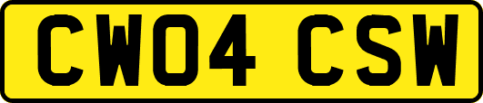 CW04CSW