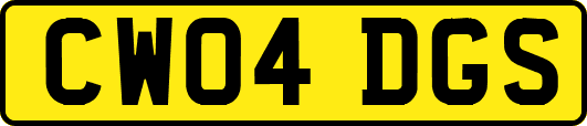 CW04DGS