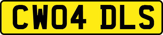 CW04DLS