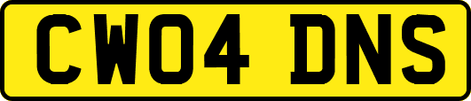 CW04DNS
