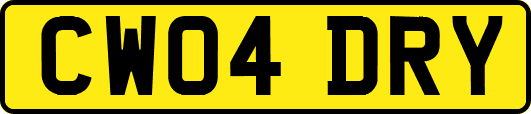 CW04DRY