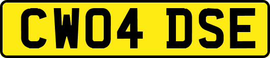 CW04DSE