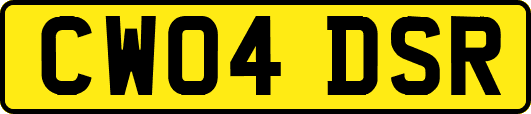 CW04DSR