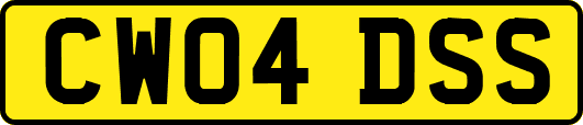 CW04DSS